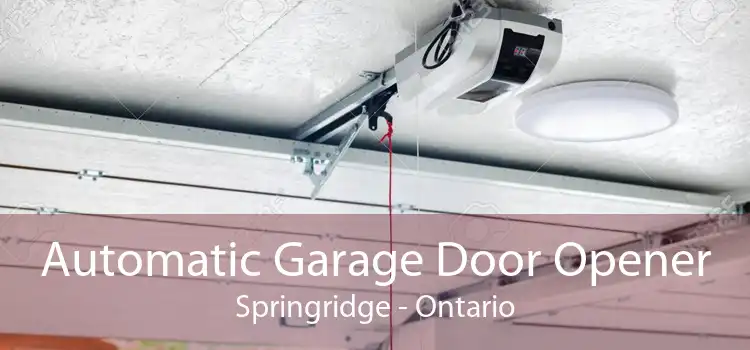 Automatic Garage Door Opener Springridge - Ontario