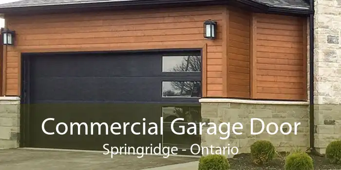 Commercial Garage Door Springridge - Ontario