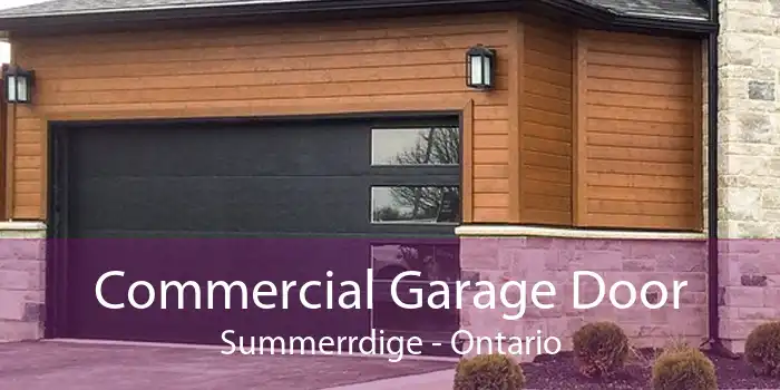Commercial Garage Door Summerrdige - Ontario