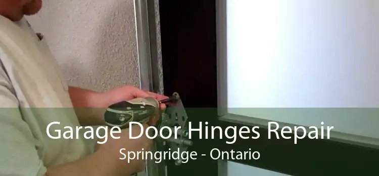 Garage Door Hinges Repair Springridge - Ontario