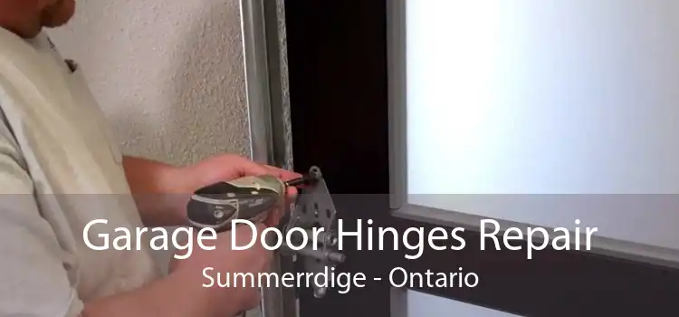 Garage Door Hinges Repair Summerrdige - Ontario