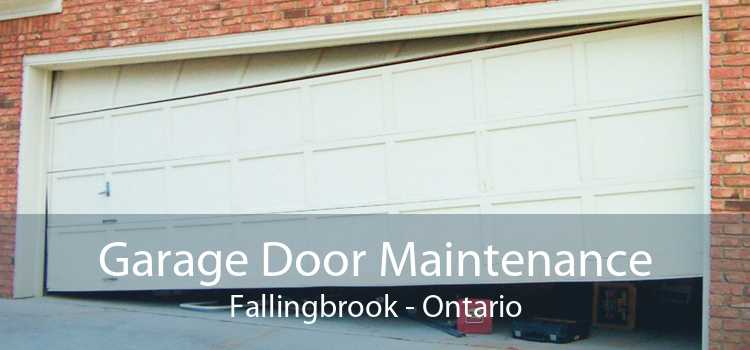 Garage Door Maintenance Fallingbrook - Ontario