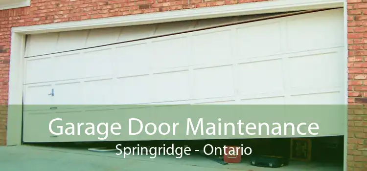 Garage Door Maintenance Springridge - Ontario