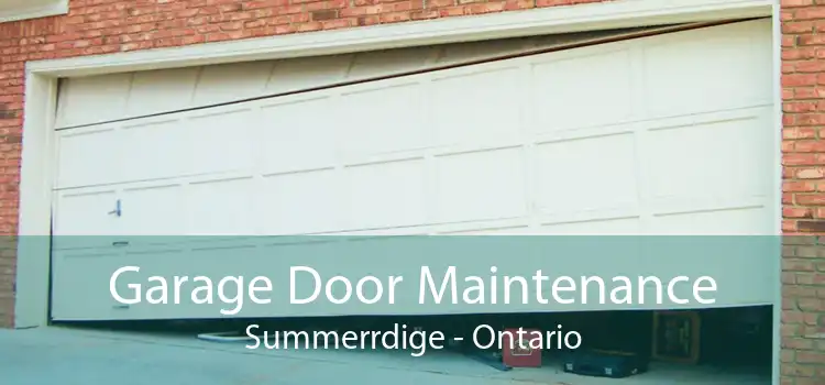 Garage Door Maintenance Summerrdige - Ontario