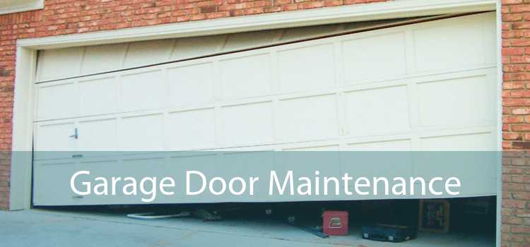 Garage Door Maintenance 
