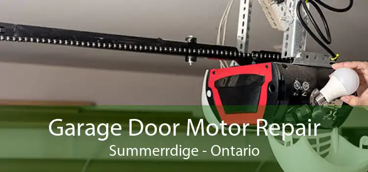Garage Door Motor Repair Summerrdige - Ontario