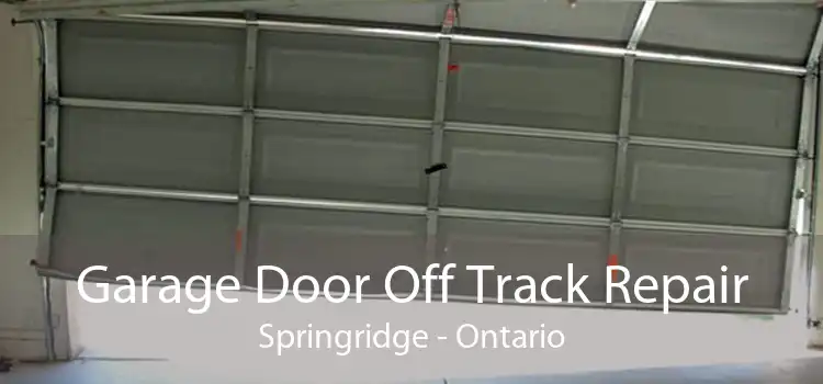 Garage Door Off Track Repair Springridge - Ontario