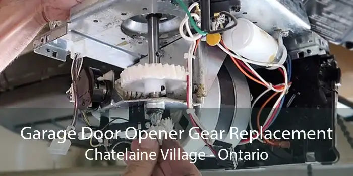 Garage Door Opener Gear Replacement Chatelaine Village - Ontario
