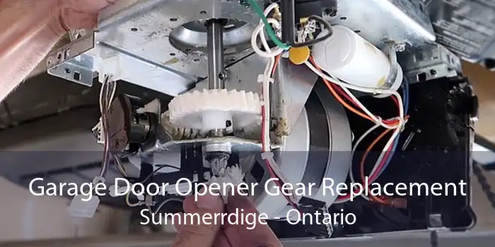 Garage Door Opener Gear Replacement Summerrdige - Ontario