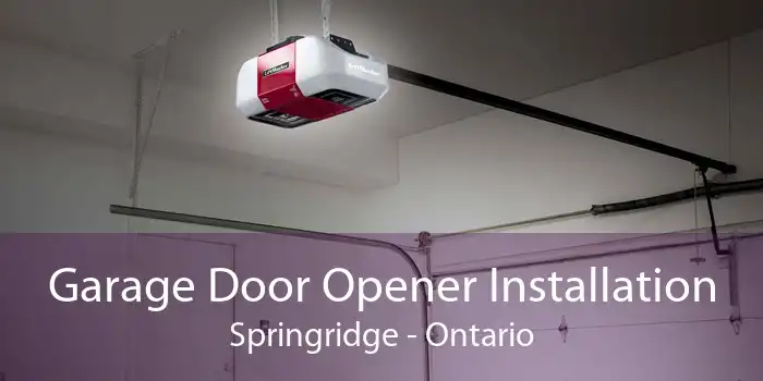 Garage Door Opener Installation Springridge - Ontario