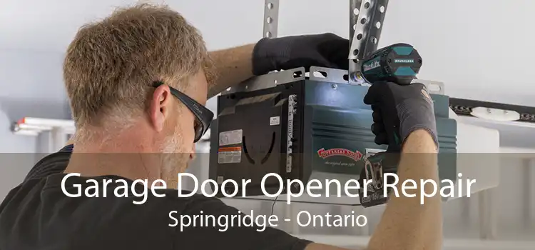 Garage Door Opener Repair Springridge - Ontario