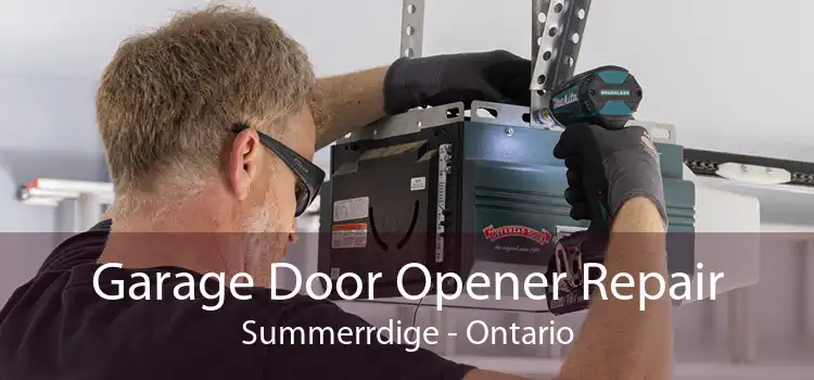 Garage Door Opener Repair Summerrdige - Ontario