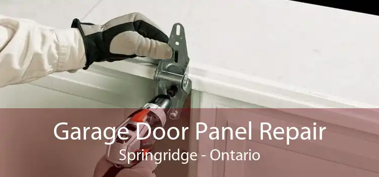Garage Door Panel Repair Springridge - Ontario