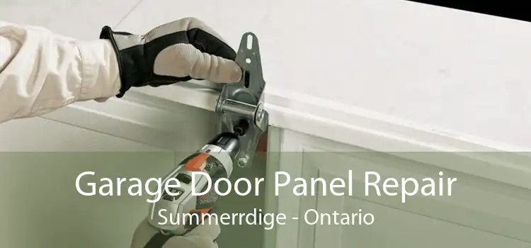 Garage Door Panel Repair Summerrdige - Ontario