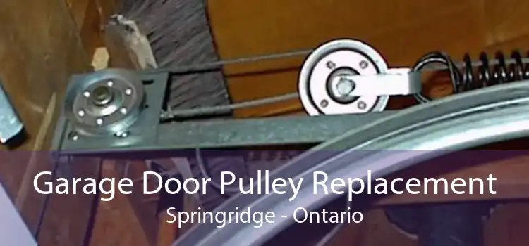 Garage Door Pulley Replacement Springridge - Ontario