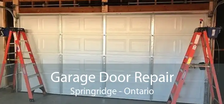 Garage Door Repair Springridge - Ontario