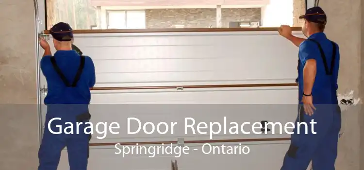 Garage Door Replacement Springridge - Ontario