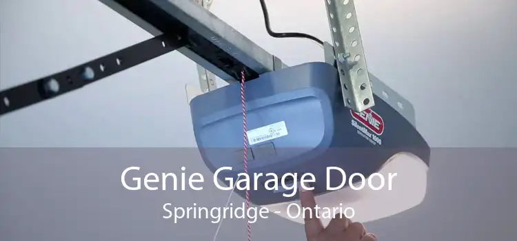 Genie Garage Door Springridge - Ontario