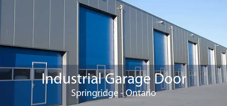 Industrial Garage Door Springridge - Ontario