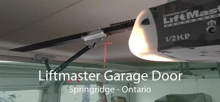 Liftmaster Garage Door Springridge - Ontario