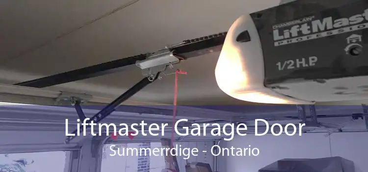Liftmaster Garage Door Summerrdige - Ontario