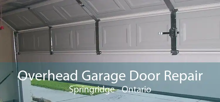 Overhead Garage Door Repair Springridge - Ontario