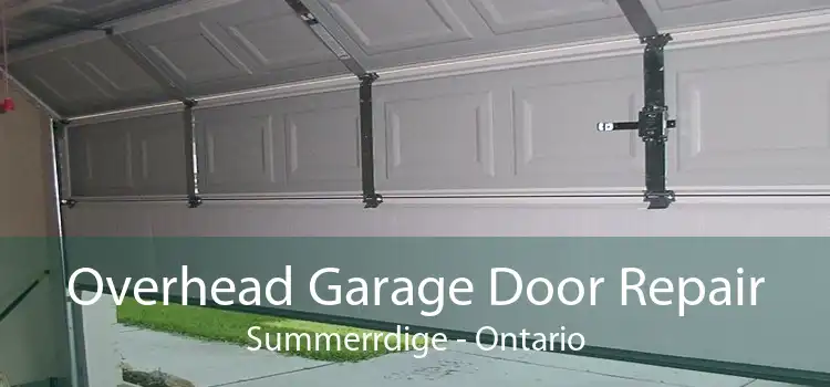 Overhead Garage Door Repair Summerrdige - Ontario