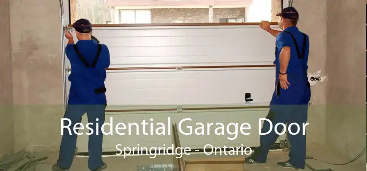 Residential Garage Door Springridge - Ontario
