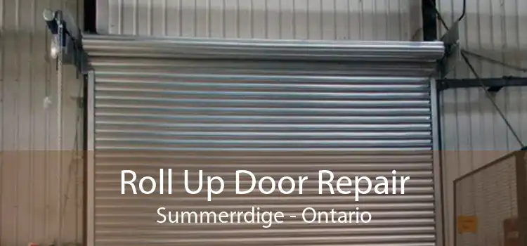 Roll Up Door Repair Summerrdige - Ontario