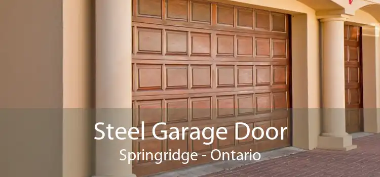 Steel Garage Door Springridge - Ontario
